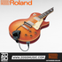 Roland GK-3 Divided Pickup (GK3) |  ROLAND |  PICKUPS & PARTS |  Zoso Music