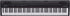 Roland GO:PIANO 88 88-key Music Creation Keyboard Zoso Music