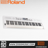 Roland GO:KEYS 5 Keyboard - White |  ROLAND |  KEYBOARD-MIDI CONTROLLER |  Zoso Music