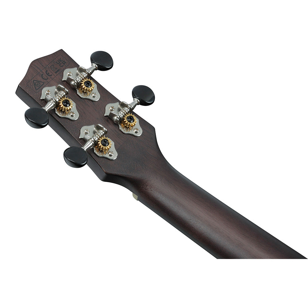 Ibanez GIO GRG121SP Electric Guitar  – Green Yellow Chameleon |  IBANEZ |  ELECTRIC GUITAR |  Zoso Music