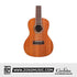 Cordoba 15CM 15 Series Best Beginner Concert Ukulele - Mahogany Top, Mahagony Back & Sides |  CORDOBA |  UKULELE |  Zoso Music