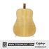 Epiphone Frontier Acoustic Electric Guitar
