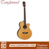 Zoso Music Tanglewood Java Series super folk acoustic-electric guitar with solid cedar top and natural gloss finish