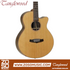 Zoso Music Tanglewood Java Series super folk acoustic-electric guitar with solid cedar top and natural gloss finish