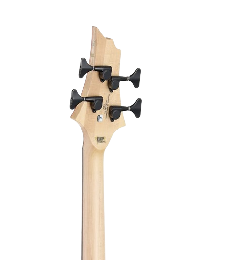 ESP Original BTL ROSELIA LISA - See Thru Red [MIJ - Made in Japan] |  ESP |  BASS GUITAR |  Zoso Music