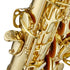 Antigua AS3108LQ Eb Alto Saxophone Lacquer Finish With Case (AS3108 LQ) |  ANTIGUA |  WOODWINDS-SAXOPHONE |  Zoso Music