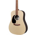 Martin D-X2EL X-Series Rosewood Lefty / Lefthanded Dreadnought Acoustic Guitar w/Gigbag |  MARTIN |  ACOUSTIC GUITAR |  Zoso Music