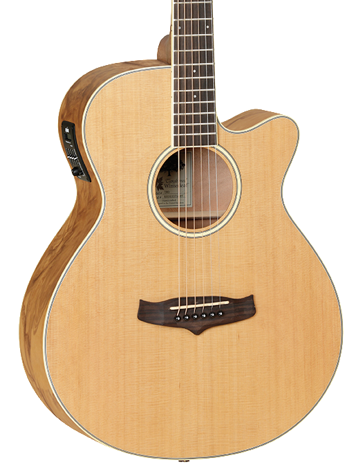 Tanglewood TW4CE NA Acoustic-Electric Guitar | Zoso Music Sdn Bhd