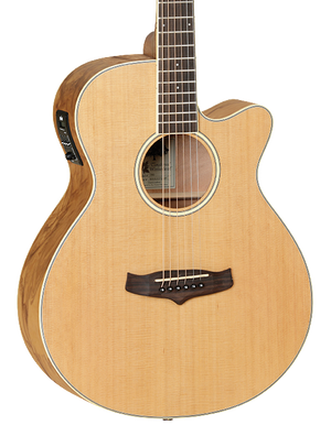 Tanglewood TW4CE NA Acoustic-Electric Guitar | Zoso Music Sdn Bhd