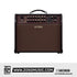Boss Acoustic Singer Pro 120-watt Acoustic Combo Amplifier | Zoso Music Sdn Bhd