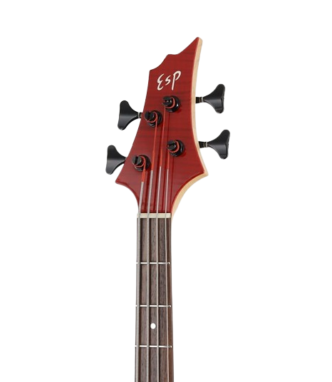 ESP Original BTL ROSELIA LISA - See Thru Red [MIJ - Made in Japan] |  ESP |  BASS GUITAR |  Zoso Music