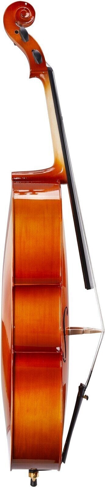 Valencia CE100G 4/4 Natural Cello Outfit Free Case |  VALENCIA |  STRINGS INST-CELLO |  Zoso Music