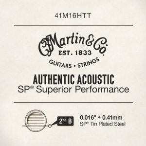Martin 41M16HTT Zoso Music