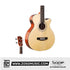 SQOE B20N Solid Wood Acoustic 4-string Bass Guitar | Zoso Music Sdn Bhd