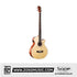 SQOE B20N Solid Wood Acoustic 4-string Bass Guitar