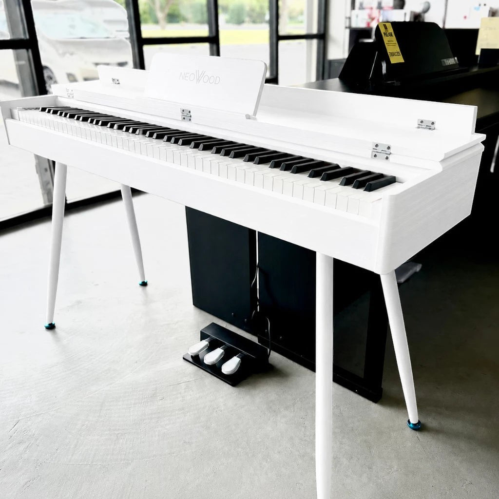 Neowood DP60 Plus 88Keys Digital Piano