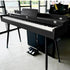 Neowood DP60 Plus 88Keys Digital Piano