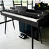 Neowood DP60 Plus 88Keys Digital Piano