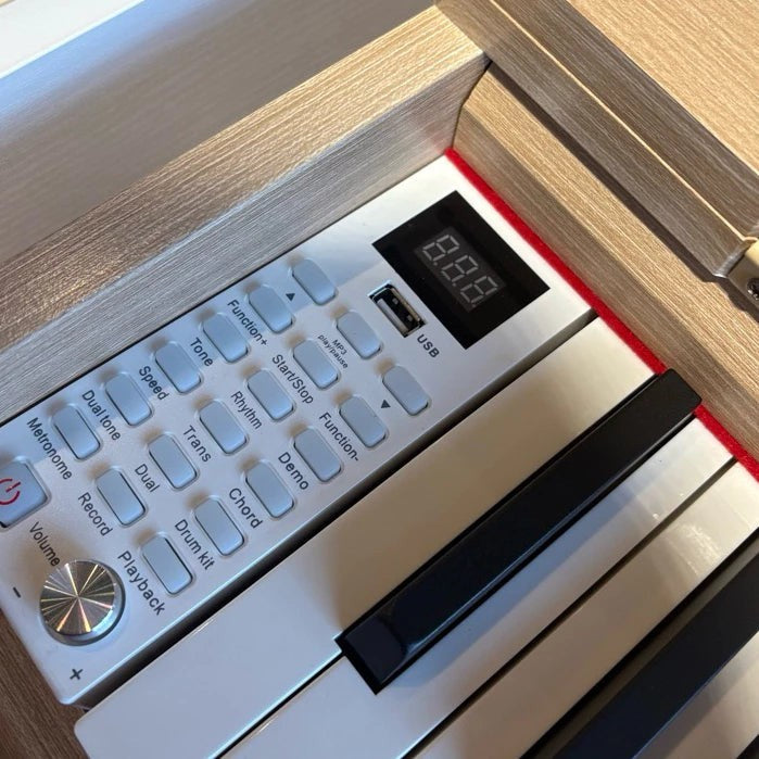 Neowood DP60 Plus 88Keys Digital Piano