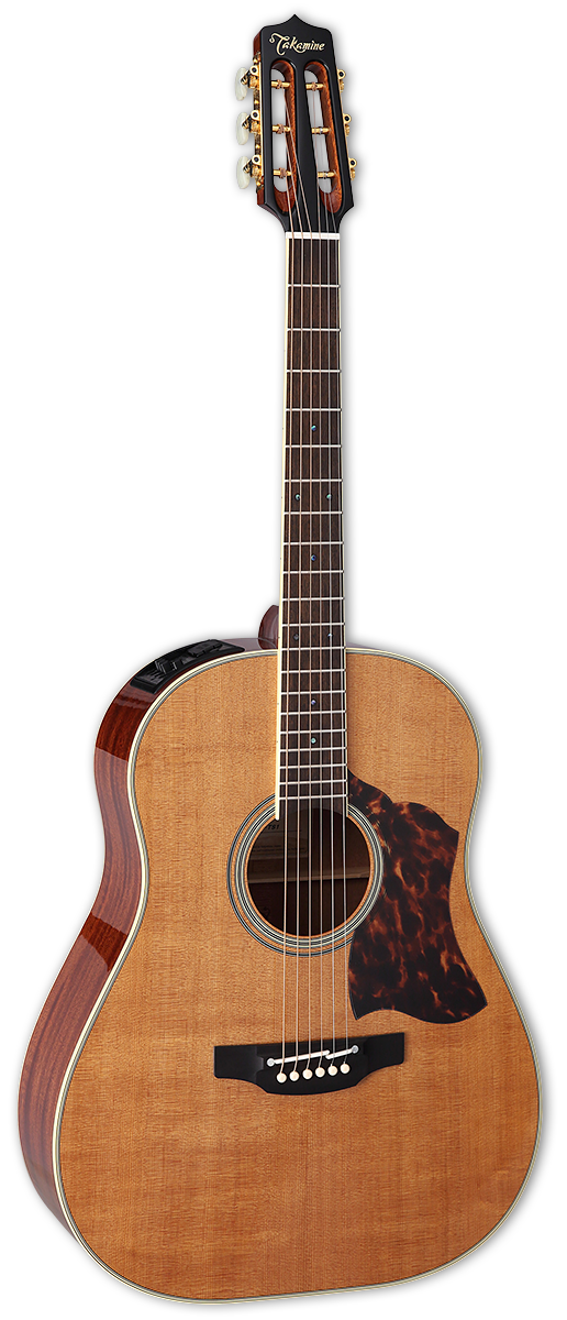 TAKAMINE CRN-TS1 THERMAL TOP PRO SERIES DREADNOUGHT ACOUSTIC-ELECTRIC GUITAR, CT4BII PREAMP & HARD CASE (MADE IN JAPAN) |  TAKAMINE |  ACOUSTIC GUITAR |  Zoso Music