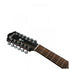 Ibanez AEG5012 Acoustic-electric Guitar - Black High Gloss |  IBANEZ |  ACOUSTIC GUITAR |  Zoso Music