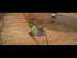 Jim Dunlop MXR® M281 Youtube Zoso Music 