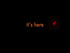 Warm Audio Foxy Tone Box Fuzz Pedal Zoso Music