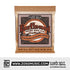 Ernie Ball Earthwood 12-String Custom Light Phosphor Bronze Acoustic Guitar Strings, 10-48 | Zoso Music Sdn Bhd