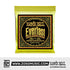 Ernie Ball Everlast Medium Light Coated Phosphor Bronze Acoustic Guitar Strings, 12-54 | Zoso Music Sdn Bhd