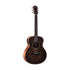 Taylor GS Mini-E Special Edition Acoustic Guitar w/Bag, Paisley Burst