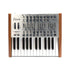 Arturia Minibrute SE Analog Synthesizer, Special Sequencer Edition Zoso Music