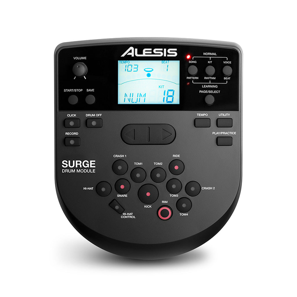 Alesis Surge Mesh Special Edition Electronic Drum Kit - Zoso Music