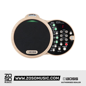 Boss DR-01S - Zoso Music