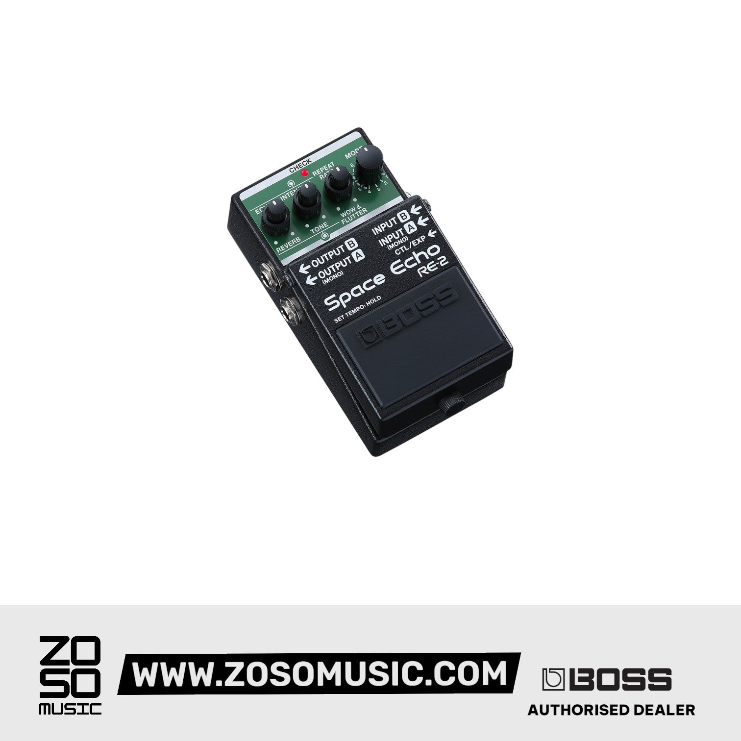Boss RE-2 - Zoso Music