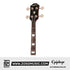 Epiphone 3, 2 Pickup, 4 String Bass Guitar