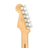 Fender Limited Edition Player Stratocaster Electric Guitar, Maple FB, Black |  FENDER |  ELECTRIC GUITAR |  Zoso Music