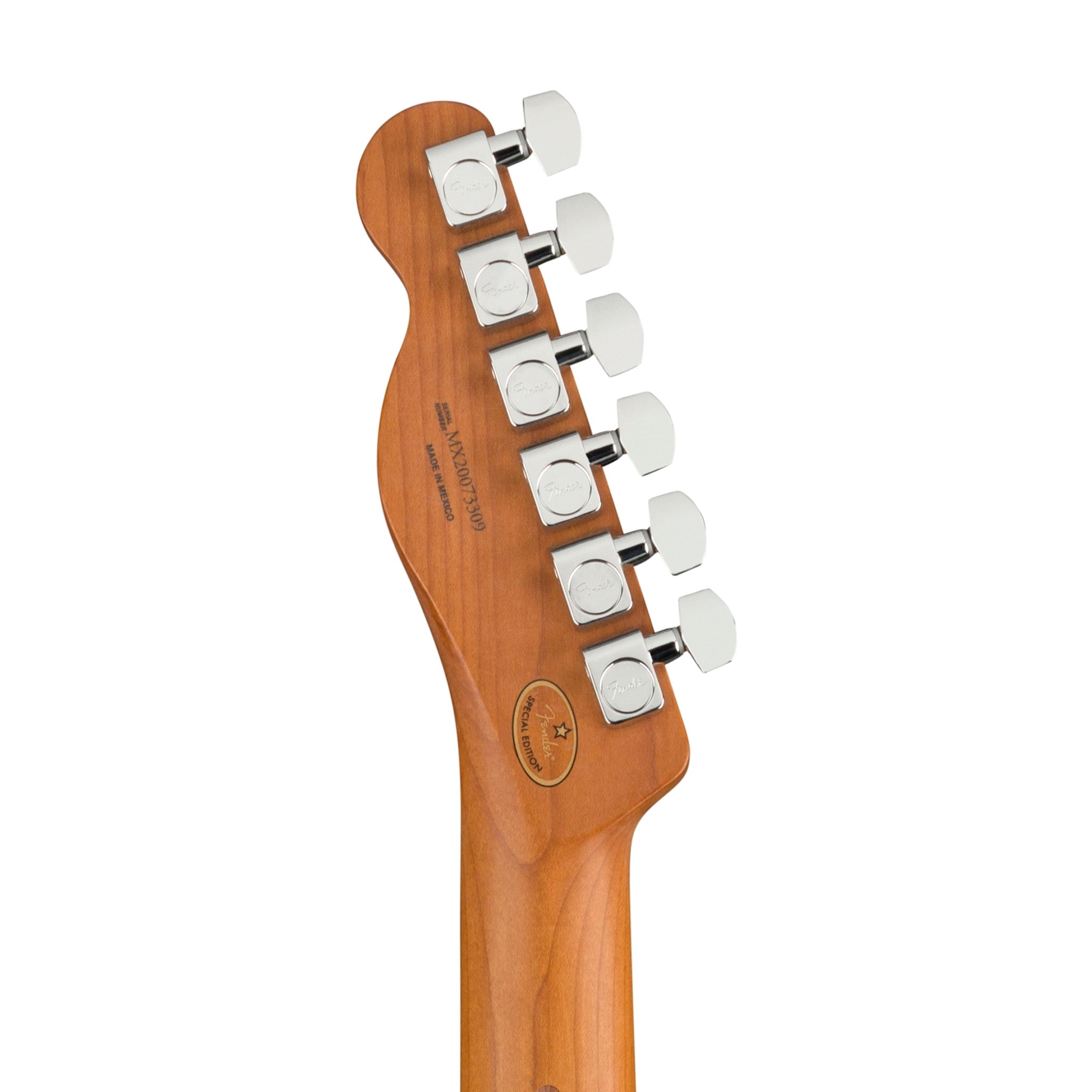Fender Limited Edition Player Telecaster Electric Guitar, Roasted Maple FB, Butterscotch Blonde