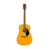 Fender FSR CD-60S Exotic Dao Dreadnought Acoustic Guitar, Aged Natural |  FENDER |  ACOUSTIC GUITAR |  Zoso Music