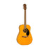 Fender FSR CD-60S Exotic Dao Dreadnought Acoustic Guitar, Aged Natural |  FENDER |  ACOUSTIC GUITAR |  Zoso Music