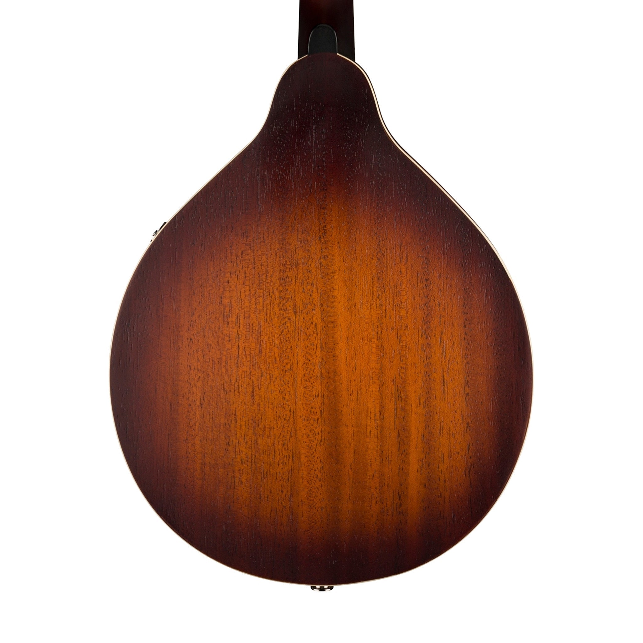 Fender PM-180E Mandolin, Walnut FB, Aged Cognac Burst |  FENDER |  MANDOLIN |  Zoso Music