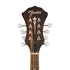 Fender PM-180E Mandolin, Walnut FB, Aged Cognac Burst |  FENDER |  MANDOLIN |  Zoso Music