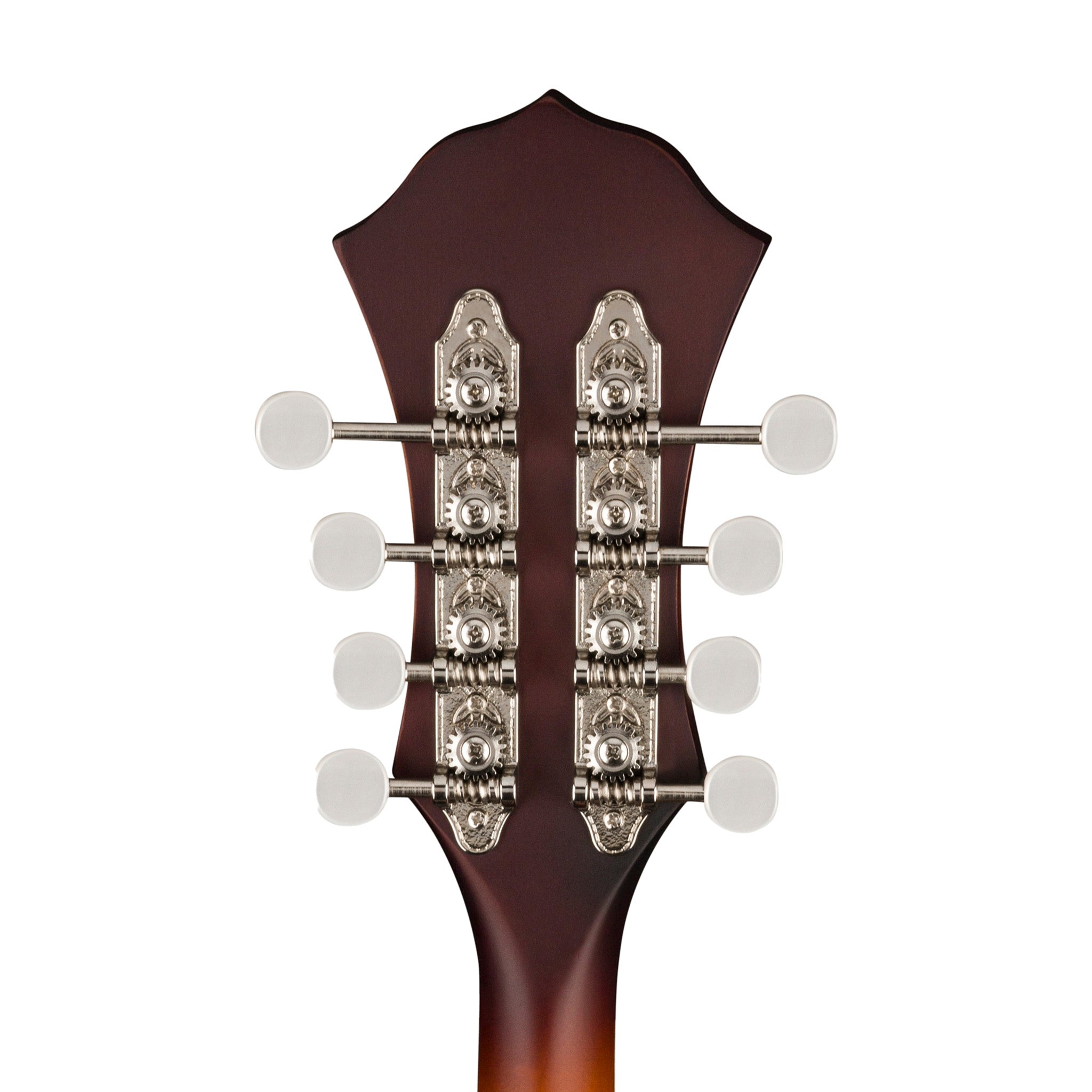 Fender PM-180E Mandolin, Walnut FB, Aged Cognac Burst |  FENDER |  MANDOLIN |  Zoso Music