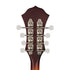 Fender PM-180E Mandolin, Walnut FB, Aged Cognac Burst |  FENDER |  MANDOLIN |  Zoso Music