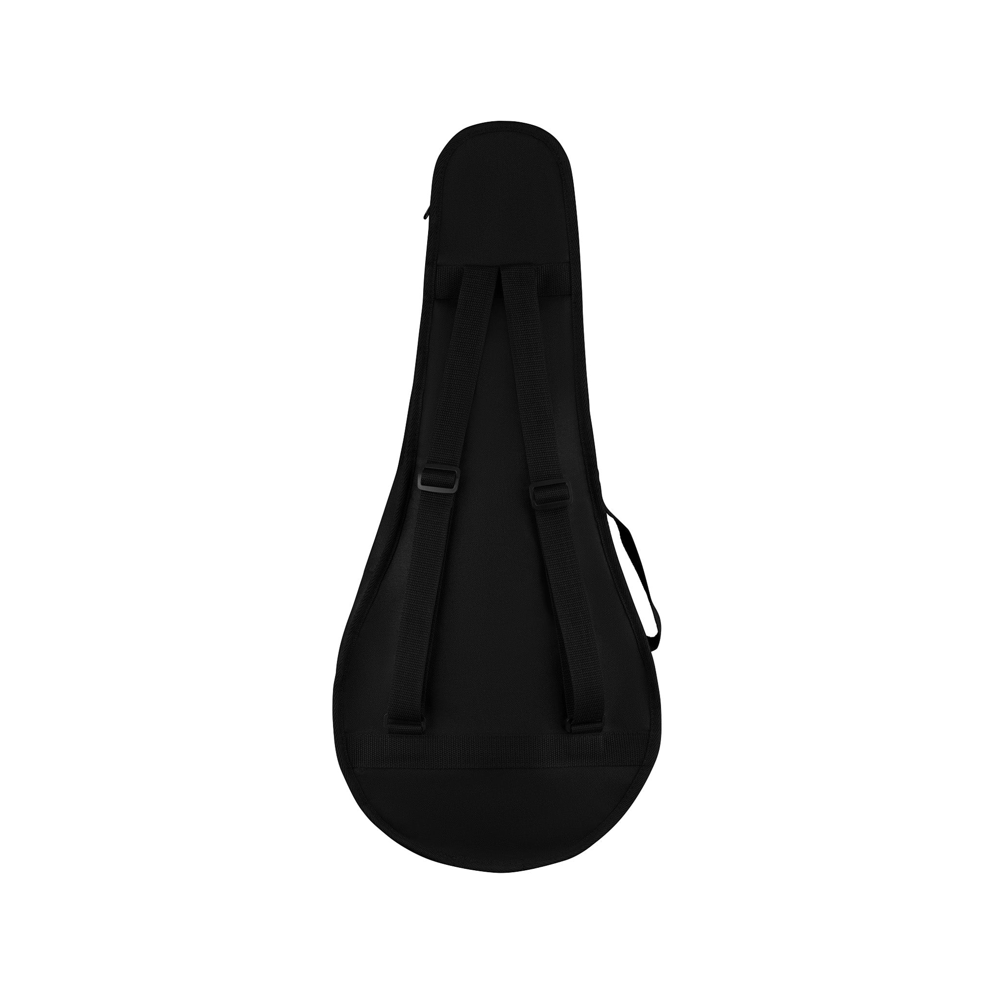 Fender PM-180E Mandolin, Walnut FB, Aged Cognac Burst |  FENDER |  MANDOLIN |  Zoso Music