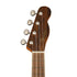 Fender Zuma Exotic Concert Ukulele, Walnut FB, Bocote |  FENDER |  UKULELE |  Zoso Music