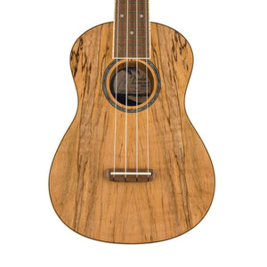 Fender Zuma Exotic Concert Ukulele, Walnut FB, Spalted Maple |  FENDER |  UKULELE |  Zoso Music