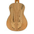 Fender Zuma Exotic Concert Ukulele, Walnut FB, Spalted Maple |  FENDER |  UKULELE |  Zoso Music