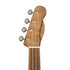 Fender Zuma Exotic Concert Ukulele, Walnut FB, Spalted Maple |  FENDER |  UKULELE |  Zoso Music