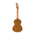 Fender Rincon Tenor Acoustic-Electric Ukulele w/Bag, Walnut FB, Aged Cognac Burst |  FENDER |  UKULELE |  Zoso Music