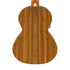 Fender Rincon Tenor Acoustic-Electric Ukulele w/Bag, Walnut FB, Aged Cognac Burst |  FENDER |  UKULELE |  Zoso Music